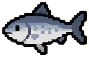 Atlantic Herring