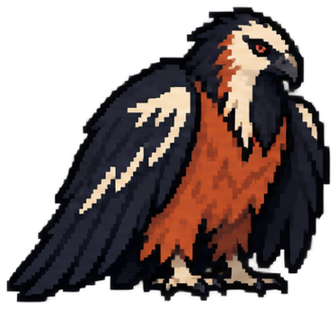 Bearded Vulture