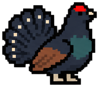 Black Grouse