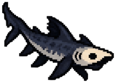 Blackmouth Catshark
