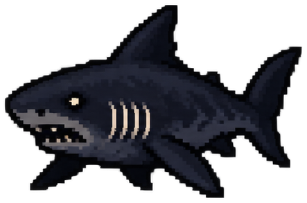 Bluntnose Sixgill Shark