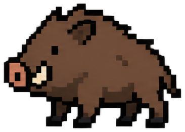 Eurasian Boar