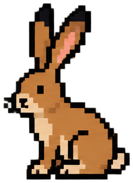 European Hare