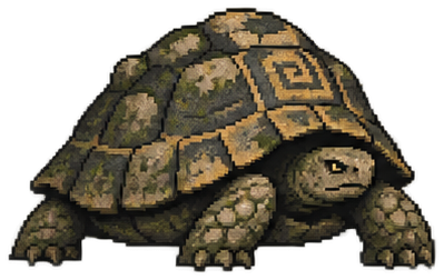 Hermann's Tortoise