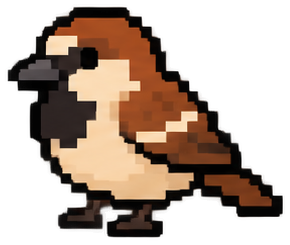 House Sparrow