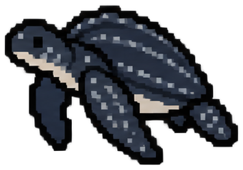 Leatherback Turtle