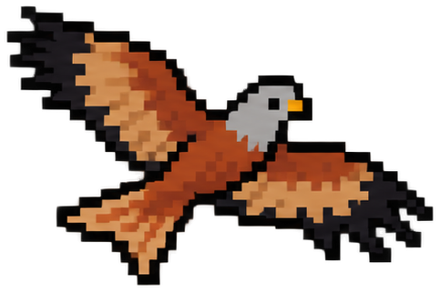 Red Kite