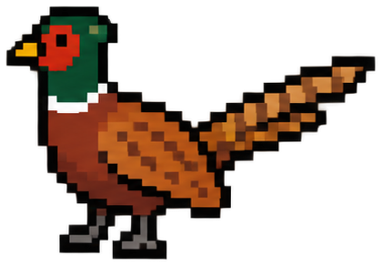 Ring-Necked Pheasant