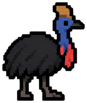 Southern Cassowary