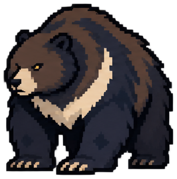 Tibetan Brown Bear