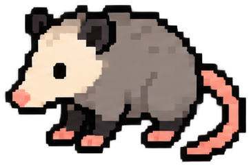 Virginia Opossum